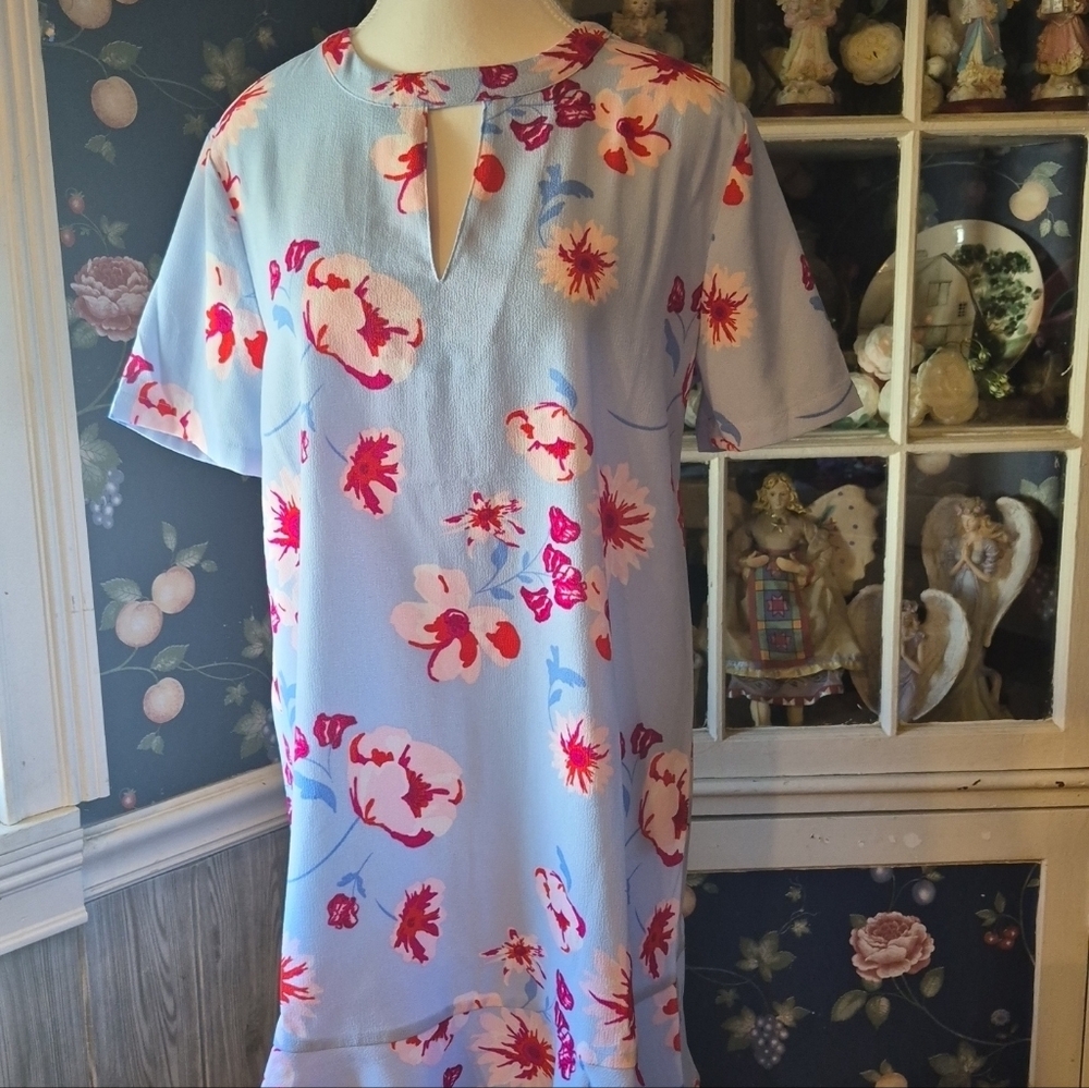 Mud Pie Floral Red and Blue Short Sleeve, Above The Knee Dress.